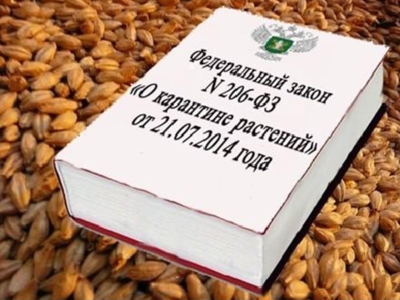 Карантинные объекты РФ.