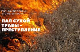 Осенние палы.
