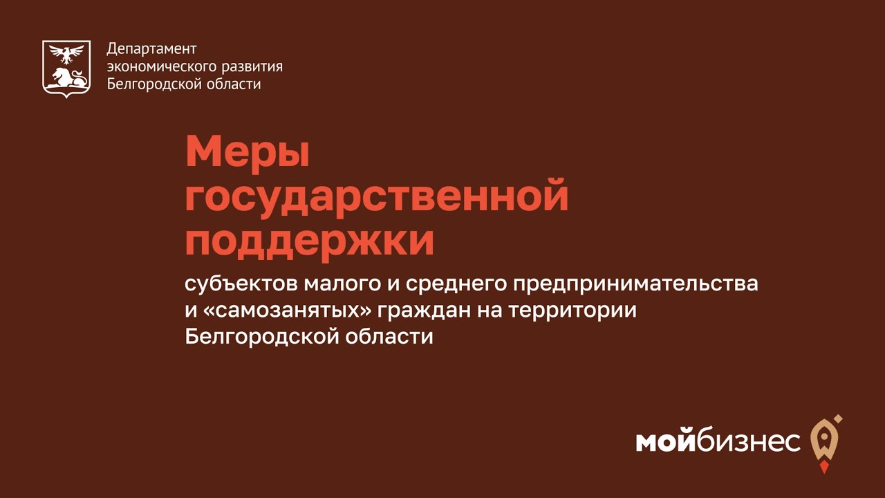 Меры поддержки самозанятых граждан, социального и молодёжного предпринимательства.