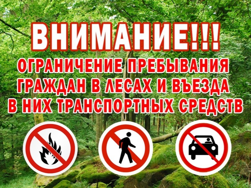 О введении ограничения пребывания граждан в лесах и въезда в них транспортных средств, а также проведения в лесах определенных видов работ в целях обеспечения пожарной безопасности в лесах.