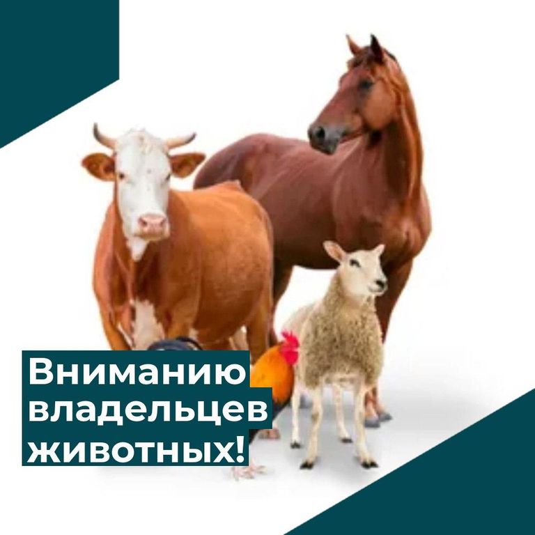 Закон об учете и маркировке животных в ЛПХ: что нужно знать.